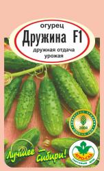 огурец ДРУЖИНА F-1 ранний, откр. закр.грунт / АГРО САД /